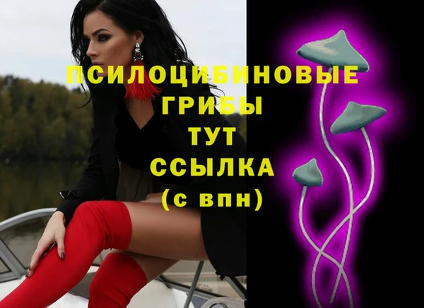 первитин Белокуриха